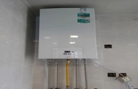 大宇热水器故障代码d6，故障维修和解决办法